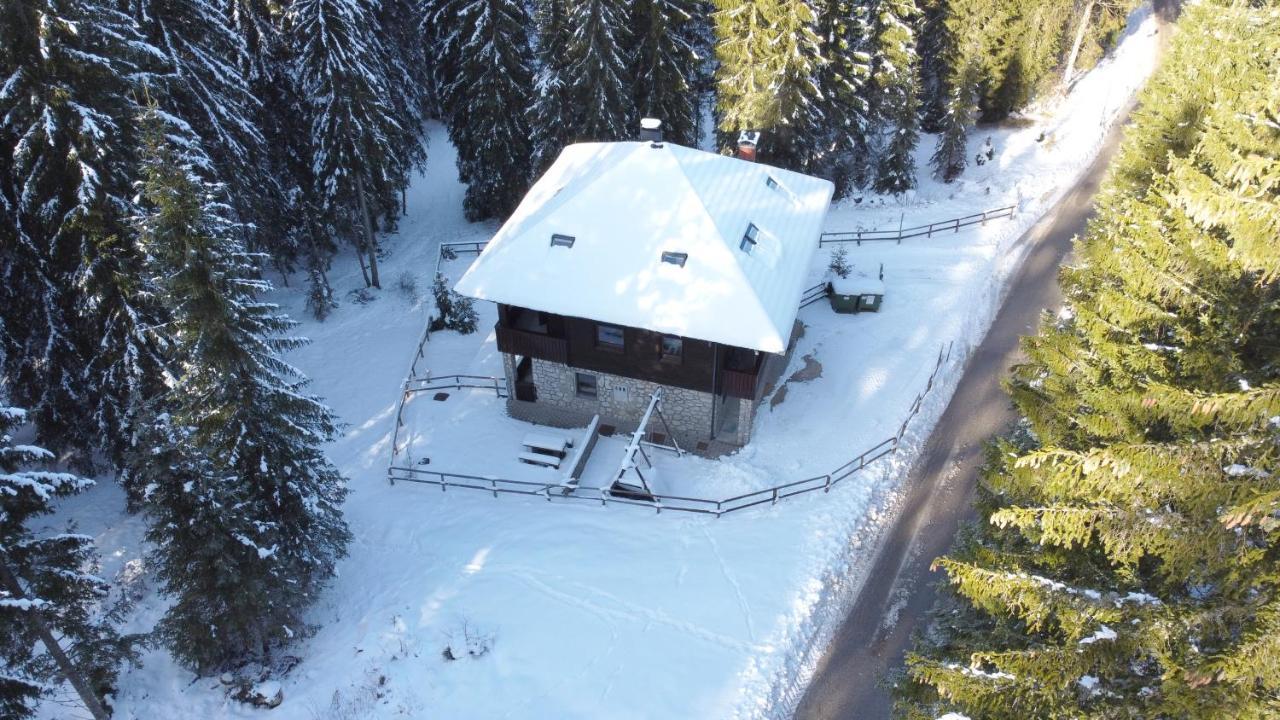 Apartments Villa Vesna Pokljuka Goreljek Exterior foto